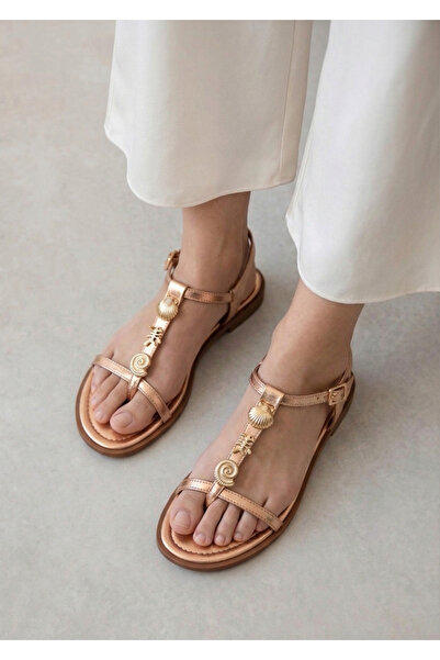 HVZ Exclusive Rose Women's Sea Shell Detailed Comfortable Flip Flops Sandals ...