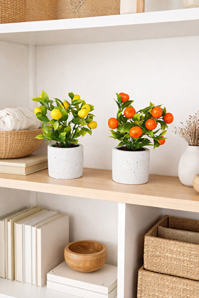 adresiburasi Adresiburası B77 ليمون ويوسفي في أصيص زهور خرساني بتأثير حجري 22...