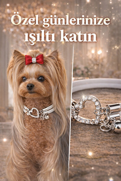 LOOL PREMİUM Parlak taşlı köpek kolye köpek tasma