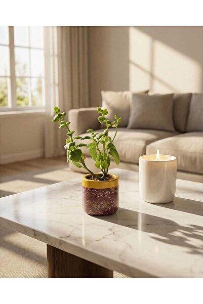 Dodemert Home Bordo Altın Varaklı Beton Tasarım Saksı & Mumluk & Kalemlik (6x...