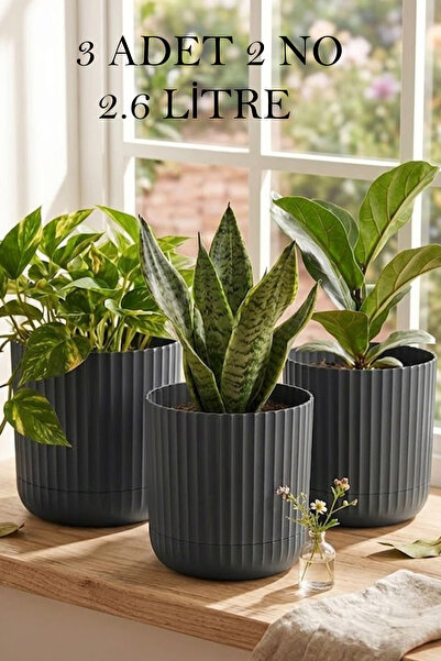 Zeraf Pot No:2-3 Pieces 2.6 Liter Table with Plate and Table Top Pot (Suitable for Home Office and Dental Space)