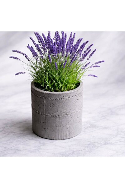 Homentum Ghiveci decorativ Alera – textură beton, design modern - 10 cm