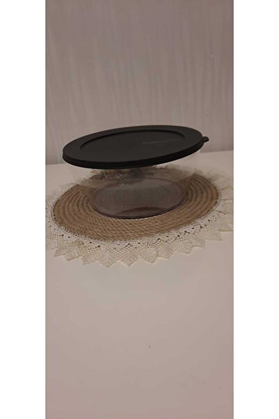 Tupperware Royal Storage Service Container 2.4 Lt