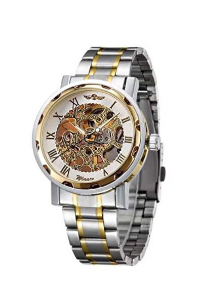 Arabest Men's Stainless Steel Mechanical Skeleton Watch with Roman Numerals, ...