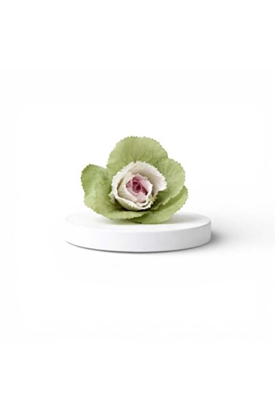 FantezieCuLicheni Stabilized ornamental cabbage – natural decorative plant