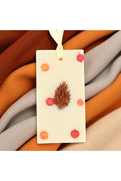 Candelina Wardrobe Air Freshener, PUMPKIN SPICE – Pumpkin, Cinnamon, Nutmeg, ...