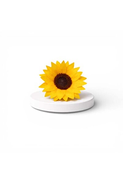 FantezieCuLicheni Cryogenic sunflower – natural decorative plant