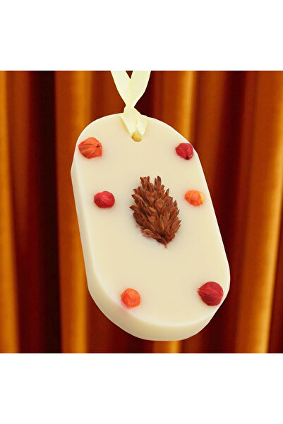 Candelina Wardrobe Air Freshener, PUMPKIN SPICE – Pumpkin, Cinnamon, Nutmeg, ...
