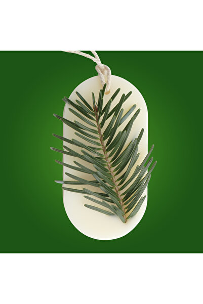 Candelina Wardrobe Air Freshener, FOREST WALK – Fir, Pine, Cedar, Oval, handm...