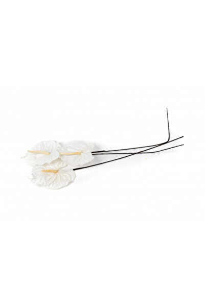 FantezieCuLicheni Stabilized white anthurium – natural decorative plant