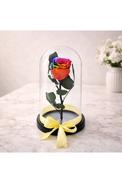 velve Trandafir Criogenat in cupola de sticla cu blat negru, pe pat de petale...