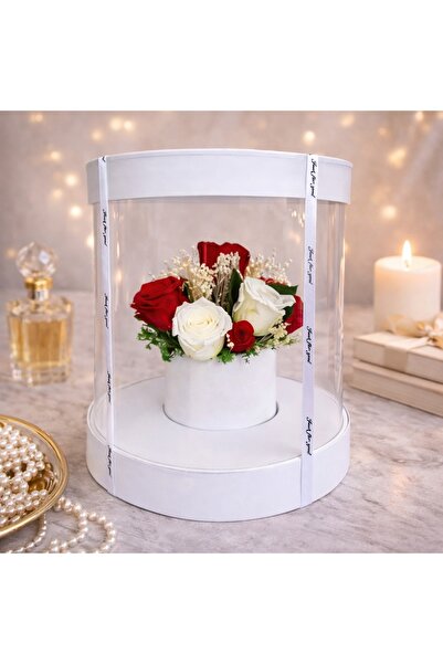 velve Aranjament floral cutie cilindrica transparenta,11 trandafiri criogenat...