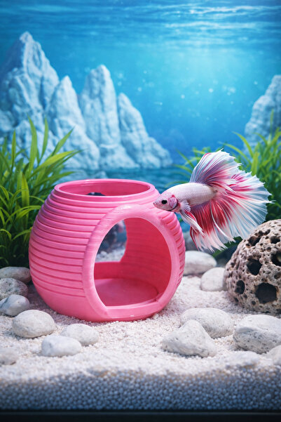 Akvaryum Balık Yuvası Pembe ve Tonları