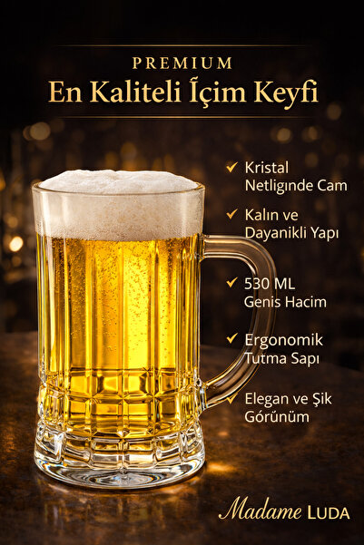 MADAME LUDA Premium Glass 2-Piece Beer Glass/Cup with Handle - (530 ml)