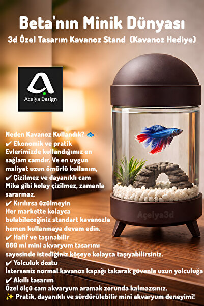 açelya3d Beta Mini Cam Kavanoz 660ml Betta Fanus Şık 3d Tasarım Wood Ahşap Fi...