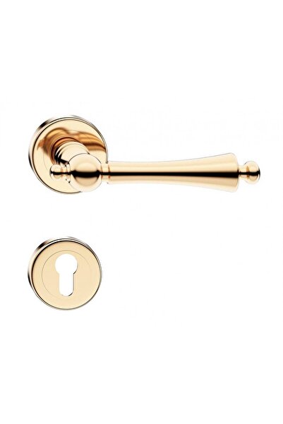 THG CENTURY Χρυσό Γυαλιστερό Χερούλια Πόρτας με Ροζέτα Κλειδαριάς