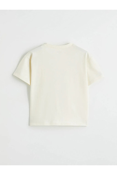 LC Waikiki Beige Crew Neck Boy's T-Shirt