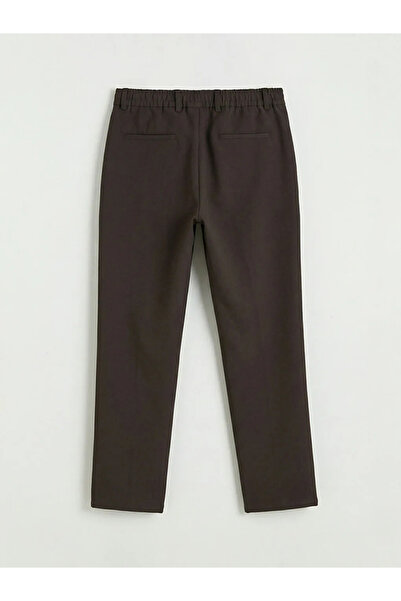LC Waikiki Brown Standard Fit Men's Trousers
