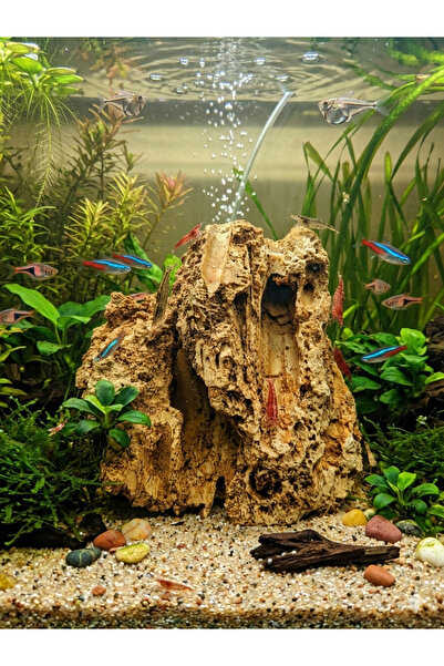 Ecdconcept Falez Kayası Akvaryum Bahçe Dekorasyon Süsü Doğaltaş 1 Adet 10-15cm