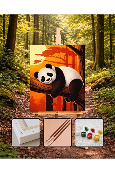ORENDA HOBİ SANAT SAYILARLA BOYAMA Tuval