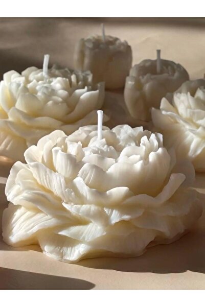 SCA CANDLE Dekoratif Mum şakaik gül kırık Beyaz Renk 10x10 cm Tekli ürün