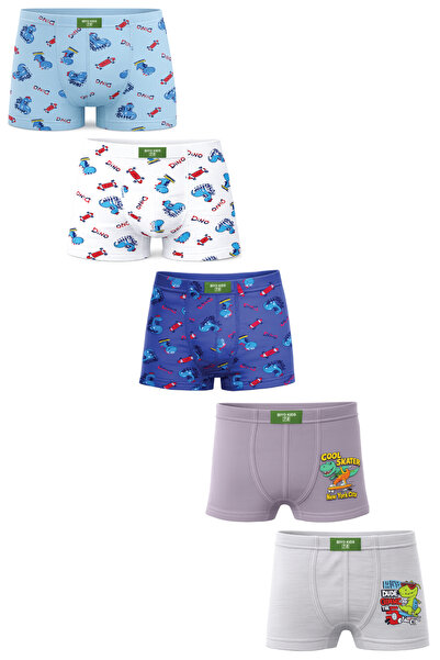 biyokids Erkek Çocuk Boxer 5'li Paket Dinazor Desenli