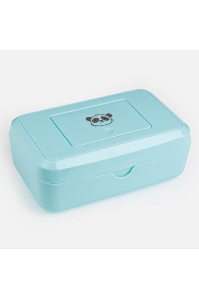 OEM Τυρκουάζ πλαστικό κουτί για υγρά μαντηλάκια 20x11x8εκ.