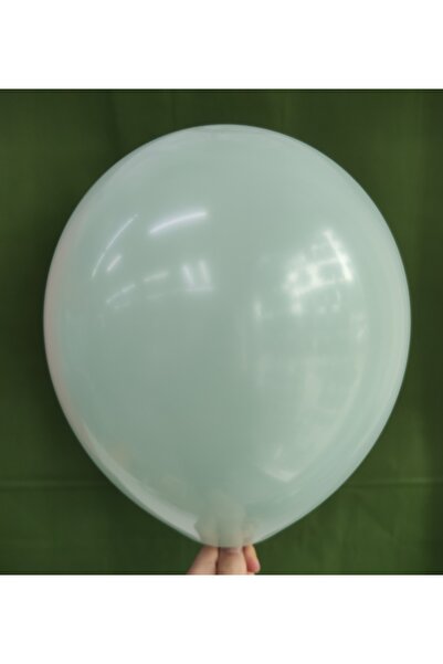 İrem Parti Dükkanı بالون ريترو وينتر جرين (الأخضر الشتوي) 10 قطع 12 بوصة 30 سم