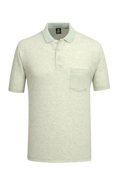 Çizgi Triko Ανδρικό μπλουζάκι πόλο με κοντό μανίκι σε πράσινο χρώμα - 5303 BAT