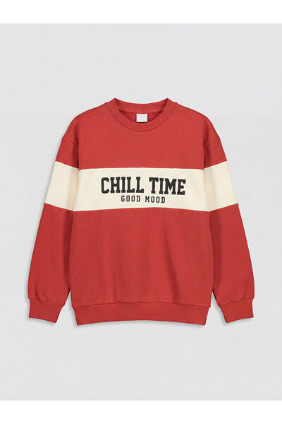 LC Waikiki RMZ GİYİM FARKIYA سويت شيرت مطبوع عليه ياقة روبا للأولاد