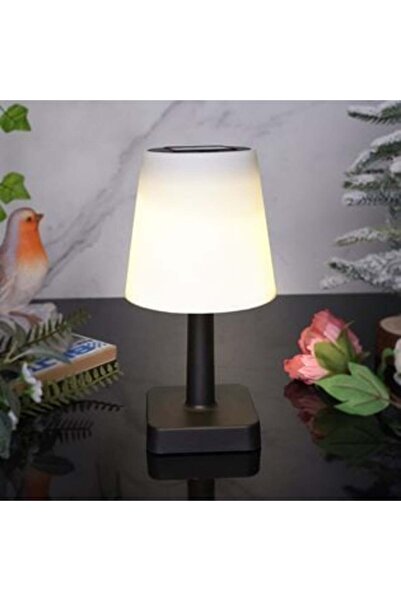 OEM Μαύρο Ηλιακό Φωτιστικό με Λευκό Σκίαστρο Ø12 x 23 εκ.