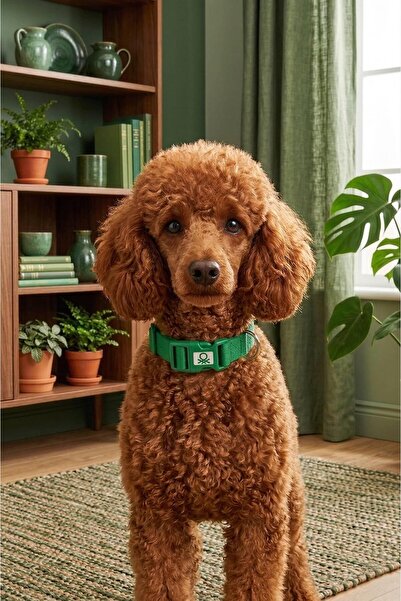 United Colors of Benetton Bntmkt-0029-Gr Cat & Dog Knitted Collar Green 2X32-...