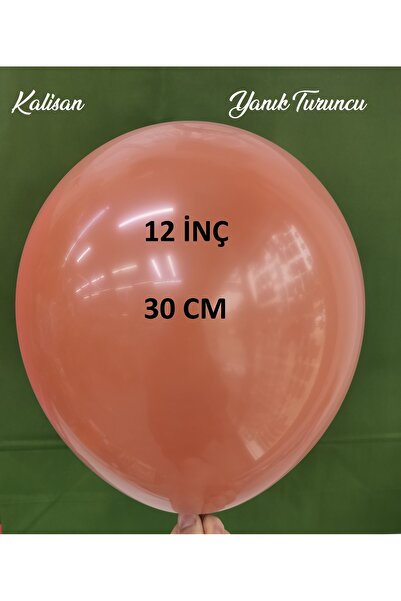 İrem Parti Dükkanı Retro Burnt Orange (Rust Orange) Balloon 10 Pieces 12 Inch...
