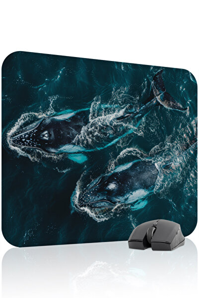 mousepad bastir لوحة ماوس ألعاب مطاطية مخيطة ومضادة للانزلاق من أوركا V2 - 48...