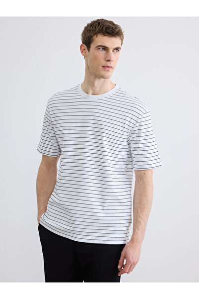 LC Waikiki Özmarka New Season Crew Neck Striped Men's T-Shirt