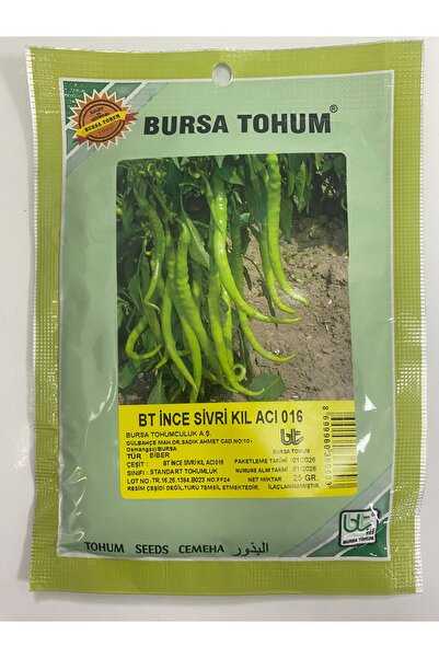 Bursa Tohumculuk BT İnce Sivri Kıl Acı 016 Biber Tohumu 25 gram