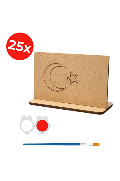 KİDOSE Turkish Flag Painting Kit for Schools