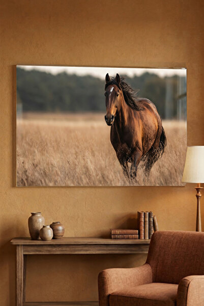 Ahsen resim çerçeve Tablou din sticlă rezistentă la spargere 5mm (grosime) - ...