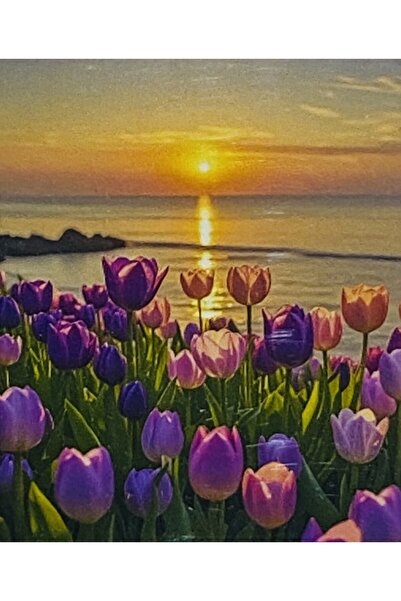 EleganTShoP 5D Yapışan Boncuk Mozaik Tablo 40*50 cm H5X38