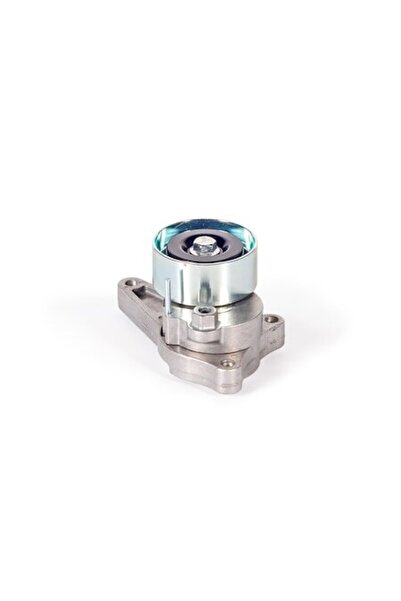 OEM Tensionator de curea