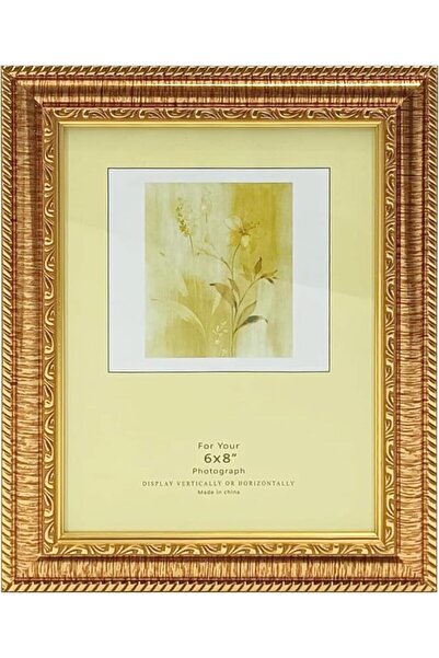 Decorhills FRAMES & DECOR 6x8 Inch Photo with Glass Protector, Classic Gold B...