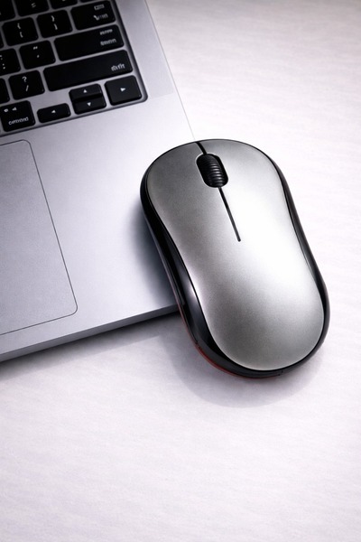 Divex 2.4 Ghz Kablosuz Mouse Kablosuz Mause Fare Usb