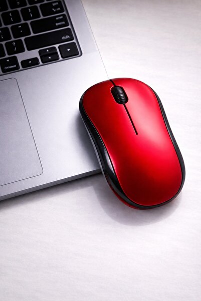 Divex 2.4 Ghz Kablosuz Mouse Kablosuz Mause Fare Usb