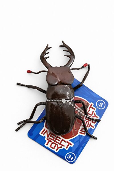 OEM Gândac (cărăbuș) jucărie realist