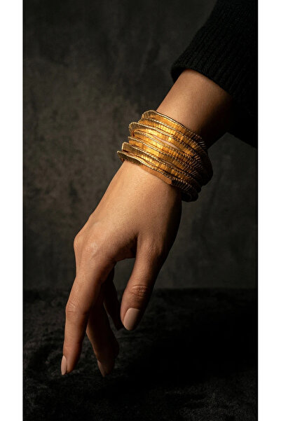 Dorvina سوار ذهبي اللون من البرونز ماركة Zr متوافق مع العلامة التجارية، طقم أ...