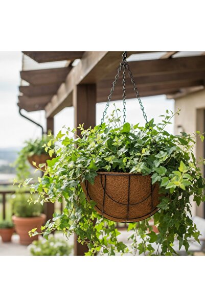 Selgot Hanging Pot with Coconut Fiber Insert, Size 30.5 x 15 cm