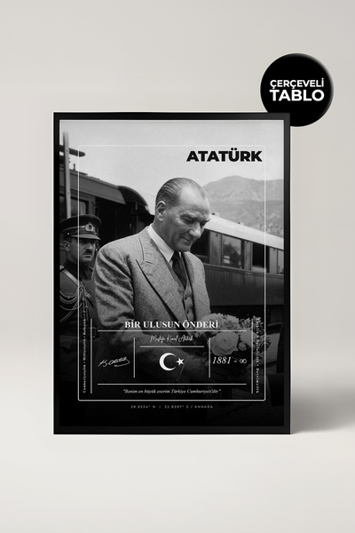House Gorgeous Ataturk uokvirena slika, Mustafa Kemal zidni dekor, crno-bela ...