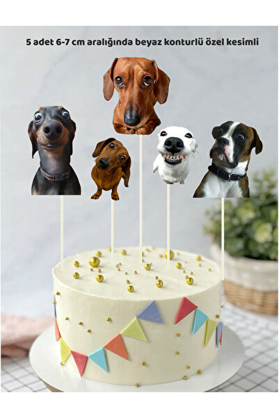 Sinek Kupası Tasarım 5 Pieces of Birthday Paw Ornaments with Cute Dog Theme