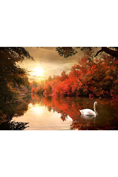 VIODESIGN Fototapet peisaj, autoadeziv, Lebada Apus , multicolor, 80x120 cmPE23