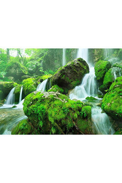 VIODESIGN Fototapet peisaje, autoadeziv, Cascada Padure , multicolor,80x120 c...